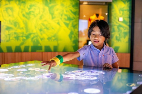 Melbourne Sports Experience + Free Australian Sports Museum Entry - Tourism Gold Coast 4