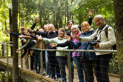 All Inclusive Blue Mountains Small-Group Day Trip From Sydney - Tourism Gold Coast 5