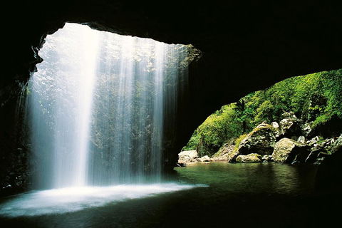 Natural Bridge & Springbrook Waterfalls Tour - Tourism Gold Coast 0