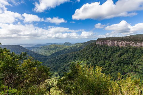 Natural Bridge & Springbrook Waterfalls Tour - Tourism Gold Coast 1