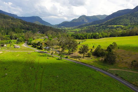 Natural Bridge & Springbrook Waterfalls Tour - Tourism Gold Coast 2