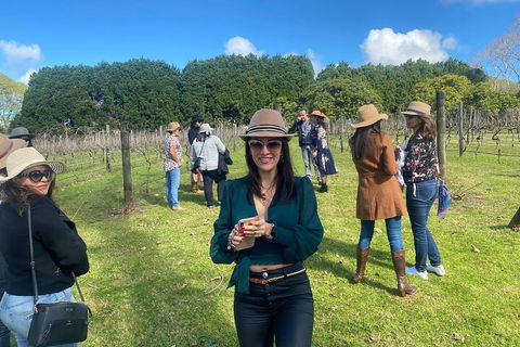 Mt Tamborine Full Day Wine Tour - Tourism Gold Coast 1