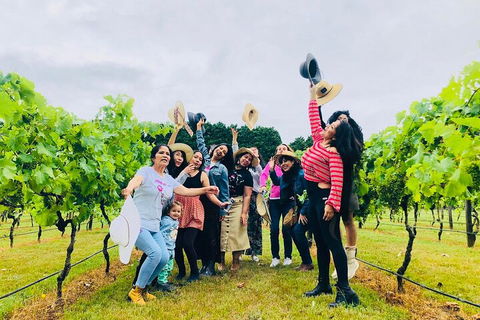 Mt Tamborine Full Day Wine Tour - Tourism Gold Coast 4