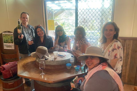 Mt Tamborine Full Day Wine Tour - Tourism Gold Coast 5