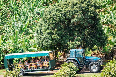 Northern Rivers Full Day Wine Tour - Tourism Gold Coast 1