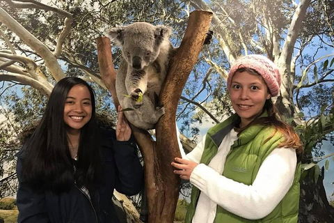 Australia Multi-City Attractions Pass - Tourism Gold Coast 3