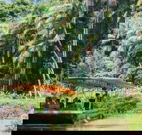 Tropical Fruit World Farm Full Tour - Tourism Gold Coast