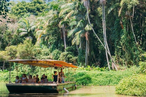Tropical Fruit World Farm Full Tour - Tourism Gold Coast 0