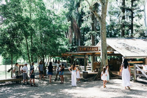Tropical Fruit World Farm Full Tour - Tourism Gold Coast 3