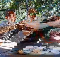 Full-day Wine-Tasting and Tamborine Mountain Tour with Lunch - Tourism Gold Coast