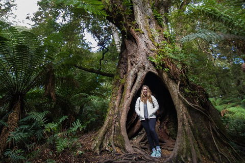 Two Day Melbourne To Adelaide Tour - Great Ocean Road & Grampians - Tourism Gold Coast 4