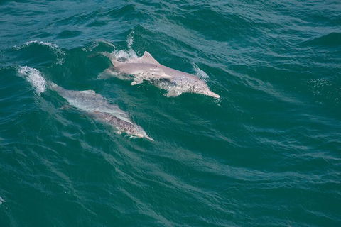 North Stradbroke Island Private Tour With Pickup - Tourism Gold Coast 0