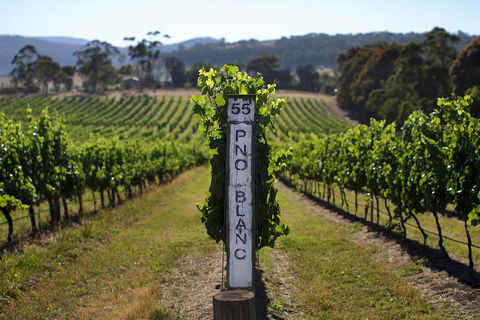 The Ultimate Yarra Valley Food And Wine Small Group Tour (Max 6 Guests) - Tourism Gold Coast 2