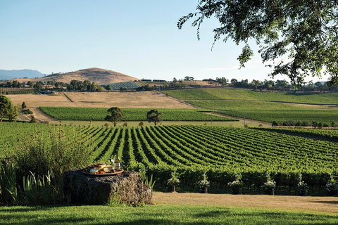 Small Group 6 Guests: Ultimate Yarra Valley Food And Wine - Mercedes Van - Gold Coast 4