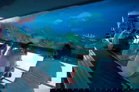 Great Barrier Reef Day Cruise to Reefworld, Airlie Beach