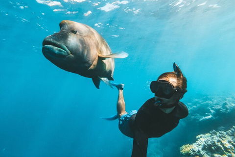 Great Barrier Reef Day Cruise To Reefworld - Tourism Gold Coast 3