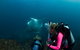 3-Hour Byron Bay Certified Scuba Diving Tour - thumb 2