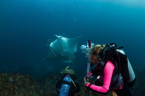 3-Hour Byron Bay Certified Scuba Diving Tour - Gold Coast 2