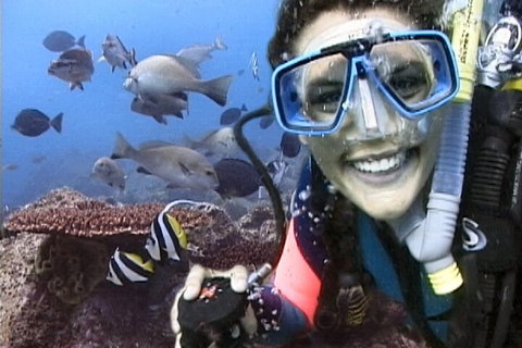 3-Hour Byron Bay Certified Scuba Diving Tour - Gold Coast 5