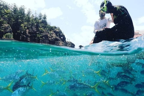 2 Night Small Group Whitsundays Sailing Adventure Aboard Mandrake - Tourism Gold Coast 5
