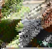 Small-Group Adelaide Central Market Early Breakfast Tour - Gold Coast