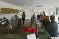 Adelaide Hills Regional / Hahndorf German Village Tour