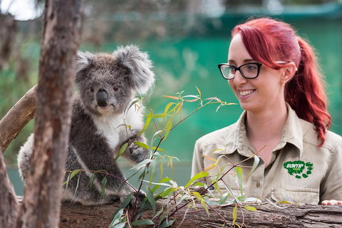 Small-Group Phillip Island Penguin Parade Day Tour From Melbourne - Tourism Gold Coast 0