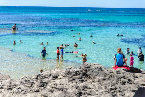Rottnest Island Roundtrip Fast Ferry From Hillarys Boat Harbour - Tourism Gold Coast 1