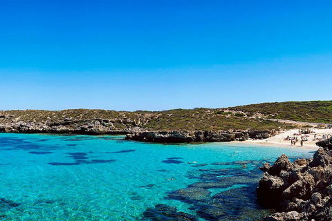 Rottnest Island Roundtrip Fast Ferry From Hillarys Boat Harbour - Tourism Gold Coast 4