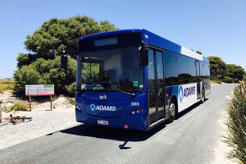 Rottnest Bayseeker Bus Tour From Hillarys Boat Harbour - Tourism Gold Coast 0
