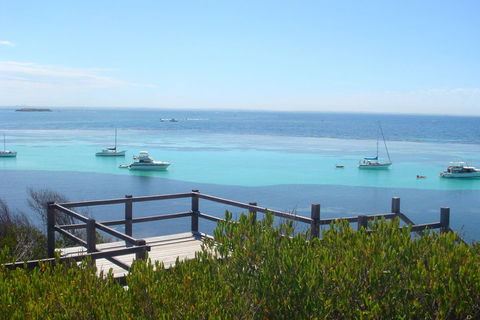 Rottnest Bayseeker Bus Tour From Hillarys Boat Harbour - Tourism Gold Coast 3