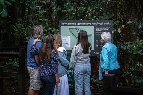 Sunshine Coast Hinterland And Noosa Day Trip From Brisbane Including Eumundi Markets And Ginger Factory - Tourism Gold Coast 0