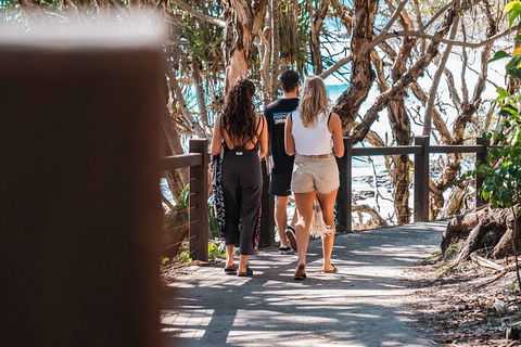 Sunshine Coast Hinterland And Noosa Day Trip From Brisbane Including Eumundi Markets And Ginger Factory - Tourism Gold Coast 4