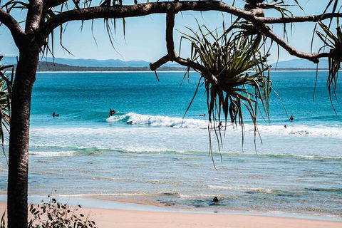 Sunshine Coast Hinterland And Noosa Day Trip From Brisbane Including Eumundi Markets And Ginger Factory - Tourism Gold Coast 5