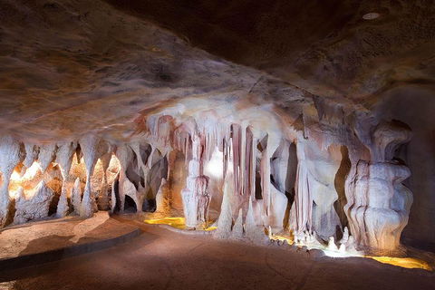 Springbrook AndTamborine Rainforest Tour Incl Natural Bridge And Glow Worm Cave - Tourism Gold Coast 4
