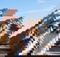 Full-Day Kangaroo Island Experience Departing from Kangaroo Island - Tourism Gold Coast