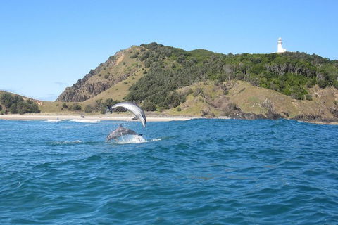 Kayaking With Dolphins In Byron Bay Guided Tour - Gold Coast 0
