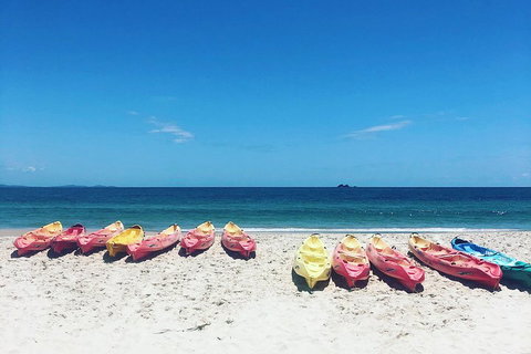Kayaking With Dolphins In Byron Bay Guided Tour - Gold Coast 1