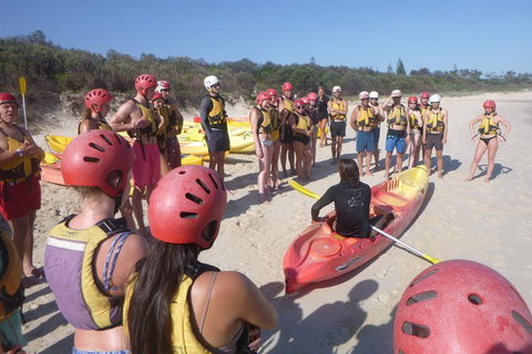 Kayaking With Dolphins In Byron Bay Guided Tour - Gold Coast 2