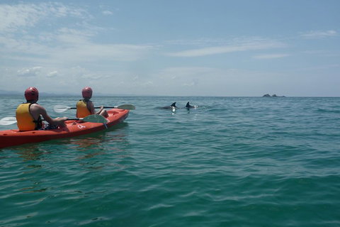 Kayaking With Dolphins In Byron Bay Guided Tour - Gold Coast 4
