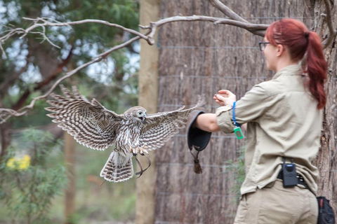 Moonlit Sanctuary Wildlife Conservation Park Daytime General Entry Ticket - Tourism Gold Coast 1