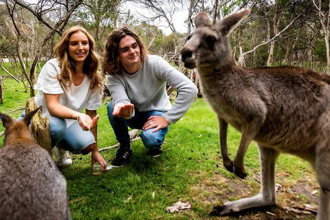 Moonlit Sanctuary Wildlife Conservation Park Daytime General Entry Ticket - Tourism Gold Coast 2
