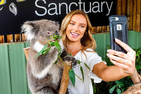 Moonlit Sanctuary Wildlife Conservation Park Daytime General Entry Ticket - Tourism Gold Coast 4