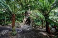 Adelaide to Melbourne 3-Day Trip through Grampians and Great Ocean Road