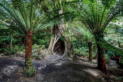 Adelaide To Melbourne 3-Day Trip Through Grampians And Great Ocean Road - Tourism Gold Coast 0