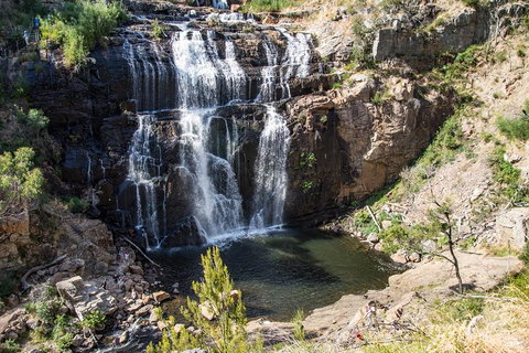 Grampians National Park With Kangaroos And MacKenzie Falls From Melbourne - Tourism Gold Coast 1