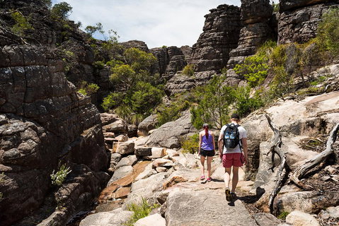 Grampians National Park With Kangaroos And MacKenzie Falls From Melbourne - Tourism Gold Coast 3
