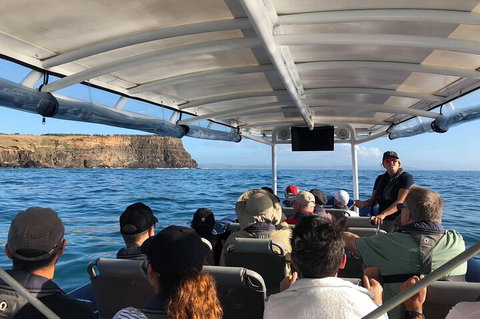 Julian Rocks Byron Bay Cruise - Gold Coast 4