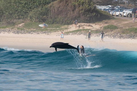 Cruise With Dolphins In Byron Bay - Tourism Gold Coast 3