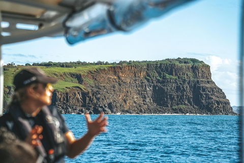 Cruise With Dolphins In Byron Bay - Tourism Gold Coast 4